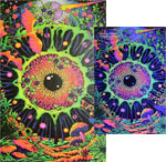 Wholesale Non-Flocked Blacklight Posters