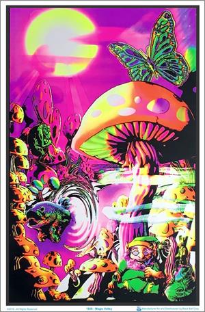 Magic Valley Blacklight Poster Image