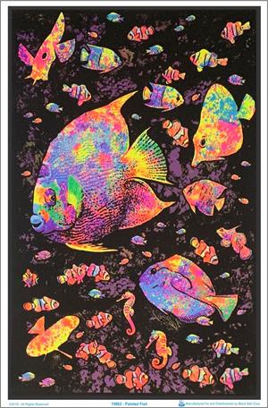 Painted Fish Flocked Blacklight Poster Image