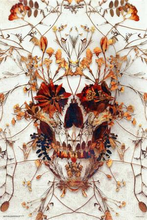 Delicate Skull by Ali Gulec Poster Image