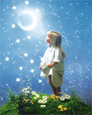 Le Niut Enchantee Poster Image