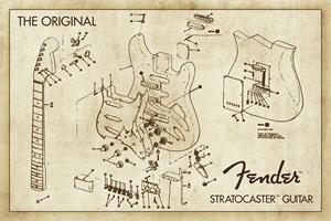 Fender Stratocaster Guitar Diagram Poster Fender Stratocaster Guitar Diagram Poster Image