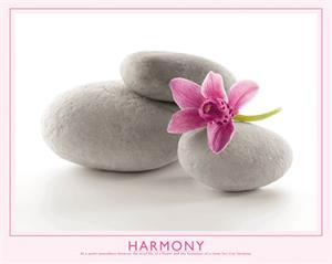 Harmony Poster Image