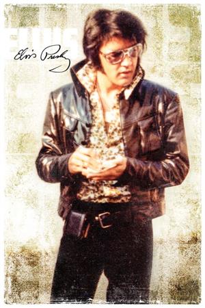 Elvis Presley - Cool - Poster - 24" X 36"