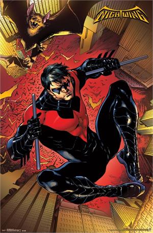 Nightwing Poster - 22.375" x 34"