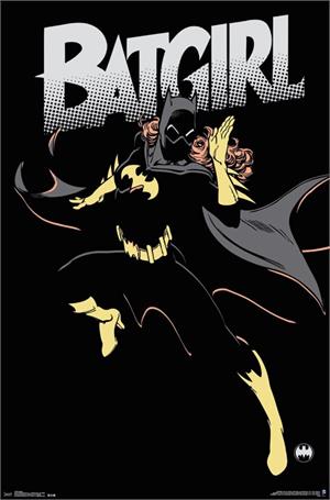 Batgirl Poster - 22.375" x 34"