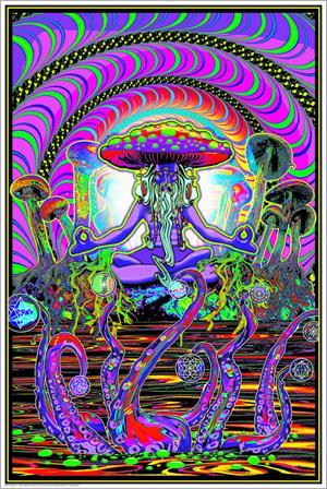 The Shroomer Non-Flocked Blacklight Poster Image
