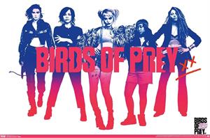 Birds of Prey Poster - 22.375" x 34"