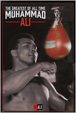 Muhammad Ali Punching Bag Poster 24" x 36" Image