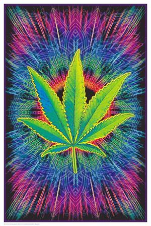 Canna Vibes Non-Flocked Blacklight Poster Image