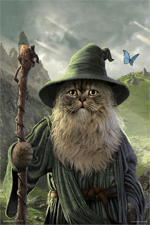 Catdalf Poster
