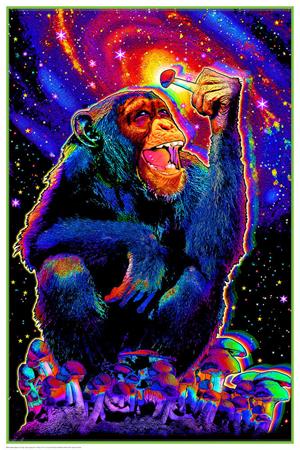 Monkey Mushroom - Non-Flocked Blacklight Poster 24" x 36" Image