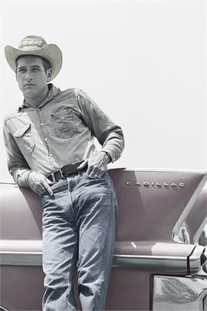 Paul Newman Blue Eyes Poster Image