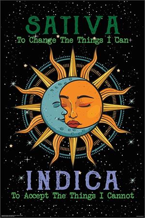 Sativa Indica Sun & Moon Poster Image