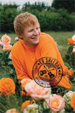 Ed Sheeran - Rose Field Poster Image