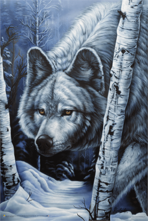 White Wolf Poster Image