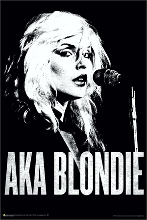 AKA Blondie Poster Image