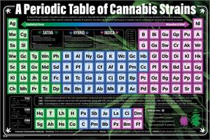 A Periodic Table of Cannabis Strains Poster Image