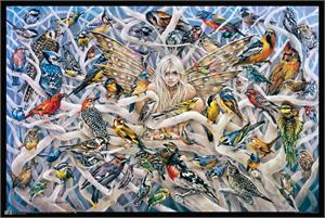 Call of the Wild Fairy by Sheila Wolk Poster Image