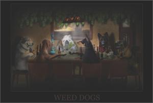 WEED DOGS POSTER - 36" X 24"