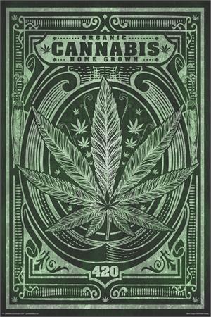 ORGANIC HOME GROWN CANNABIS POSTER - 24" x 36"