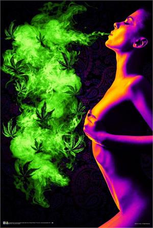 Too Hot to Handle Non-Flocked Blacklight Poster Image