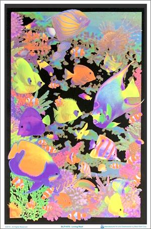 Living Reef Blacklight Poster Image