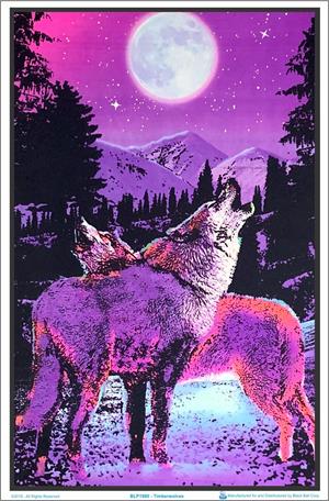 Timberwolves Blacklight Poster Image