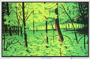 Summer Woods Black Light Poster - 35" X 23"