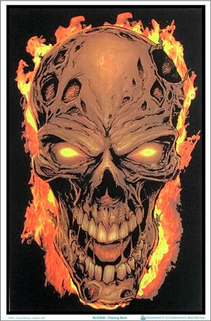 Flaming Skull Blacklight Poster Image
