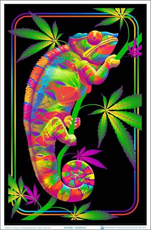 Chameleon Flocked Black Light Poster - 23" x 35" image