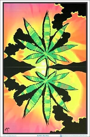 Maui Waui Black Light Poster Image