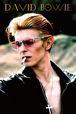David Bowie - Rebel Poster