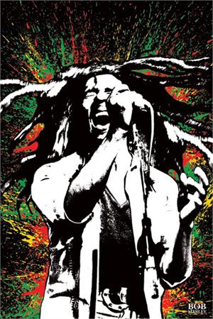 BOB MARLEY SPLASH POSTER - 24" X 36"
