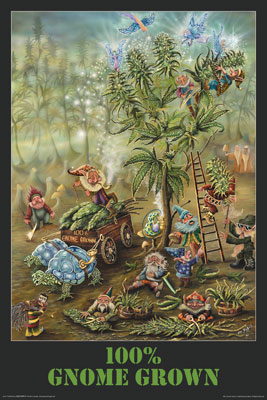 GNOME GROWN - POSTER - MIKE DUBOIS - 24" X 36"