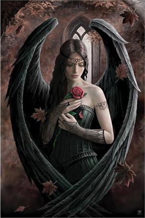 ANGEL ROSE - ANNE STOKES - POSTER - 24" X 36"