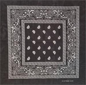 Paisley Bandana Black 21" x 21" - Cotton Image