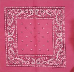 Paisley Bandana Fuscia 22" x 22" - Cotton image