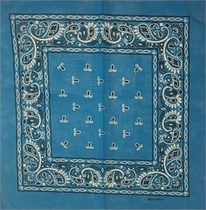 Turquoise Bandana Green 21" x 21" - Cotton image