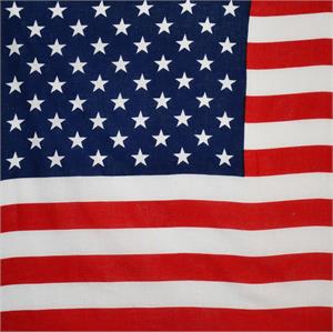 US Flag Bandana 21" x 21" - Cotton Image