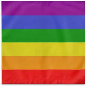 Rainbow Bandana 21" x 21" - Cotton Image