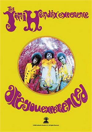 Jimi Hendrix - Are You Experienced Fabric Poster - 30" X 40" IMAGE
