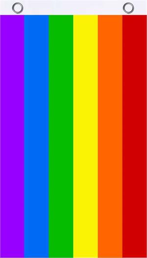 Rainbow Fly Flag