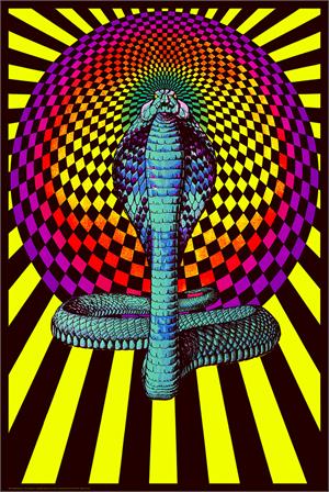 Spellbound Cobra - Non Flocked Blacklight Poster Image