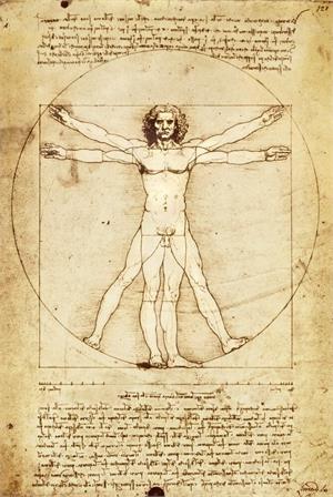 Leonardo Da Vinci Vitruvian Man Poster Image