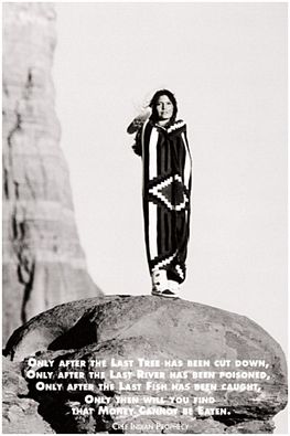 INDIAN PROPHECY - POSTER - 24" X 36"