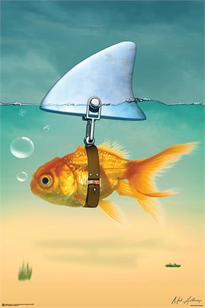 Gold Fish Poster Image