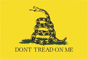 DON'T TREAD ON ME AMERICAN INDPENDENCE POSTER - 24" X 36"