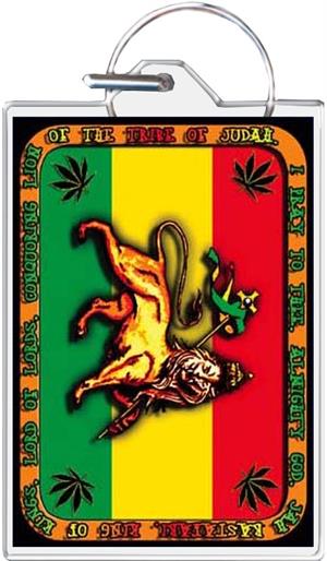 Rasta Lion Keychain Clear Background Image