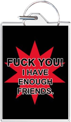 I Have Enough Friends Keychain Clear Background Image